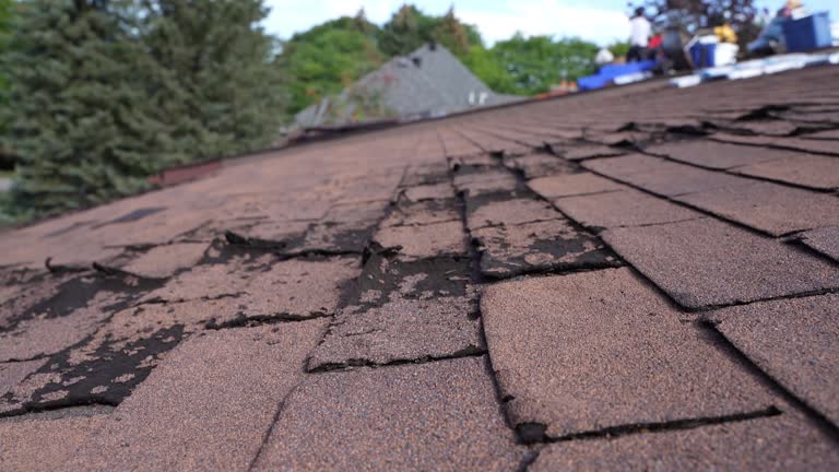 Best Roof Coating and Sealing  in Del Rio, TX